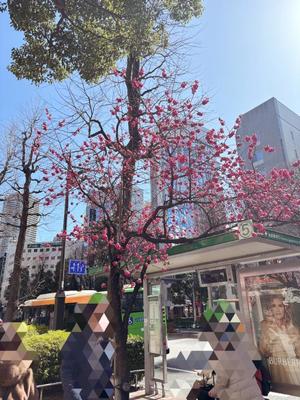 有村もえの写メ日記｜プレジデントハウス 吉原大衆店ソープ