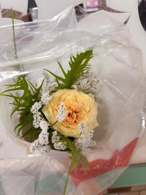 有村もえの写メ日記｜プレジデントハウス 吉原大衆店ソープ