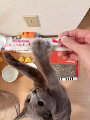 有村もえの写メ日記｜プレジデントハウス 吉原大衆店ソープ