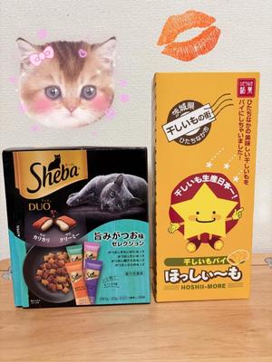 有村もえの写メ日記｜プレジデントハウス 吉原大衆店ソープ