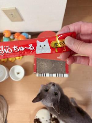 有村もえの写メ日記|プレジデントハウス 吉原大衆店ソープ