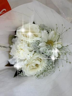 有村もえの写メ日記｜プレジデントハウス 吉原大衆店ソープ