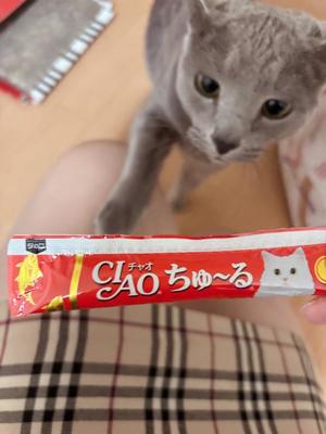 有村もえの写メ日記|プレジデントハウス 吉原大衆店ソープ