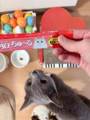 有村もえの写メ日記|プレジデントハウス 吉原大衆店ソープ