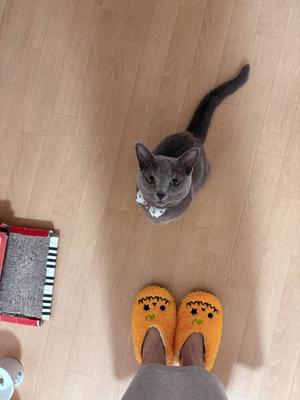 有村もえの写メ日記|プレジデントハウス 吉原大衆店ソープ