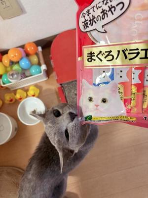 有村もえの写メ日記|プレジデントハウス 吉原大衆店ソープ