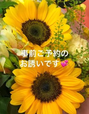 葉月美優の写メ日記｜プレジデントハウス 吉原大衆店ソープ