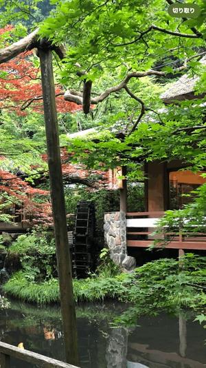 葉月美優の写メ日記｜プレジデントハウス 吉原大衆店ソープ