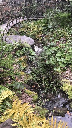 葉月美優の写メ日記｜プレジデントハウス 吉原大衆店ソープ