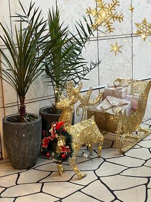 葉月美優の写メ日記｜プレジデントハウス 吉原大衆店ソープ