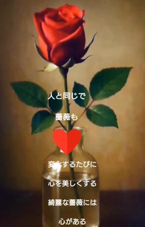 葉月美優の写メ日記｜プレジデントハウス 吉原大衆店ソープ