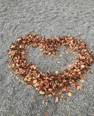 葉月美優の写メ日記｜プレジデントハウス 吉原大衆店ソープ