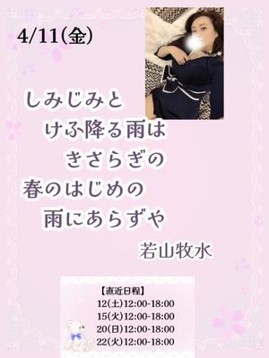 瀬戸麻莉子の写メ日記｜プレジデントハウス 吉原大衆店ソープ