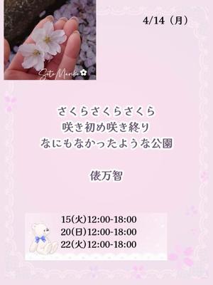 瀬戸麻莉子の写メ日記｜プレジデントハウス 吉原大衆店ソープ