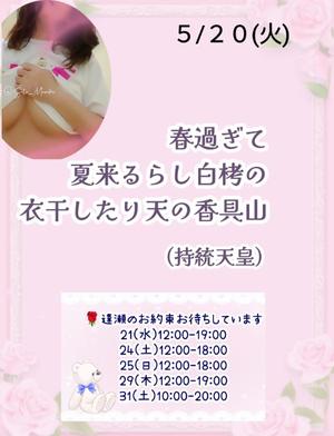 瀬戸麻莉子の写メ日記｜プレジデントハウス 吉原大衆店ソープ