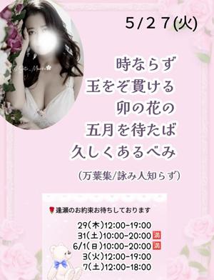 瀬戸麻莉子の写メ日記｜プレジデントハウス 吉原大衆店ソープ