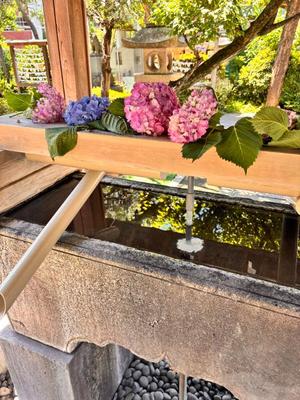 国仲紗花の写メ日記｜プレジデントハウス 吉原大衆店ソープ