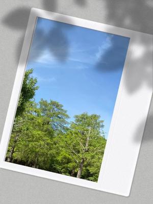 北川 愛の写メ日記｜プレジデントハウス 吉原大衆店ソープ