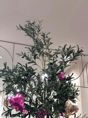 白川瑛梨の写メ日記｜プレジデントハウス 吉原大衆店ソープ