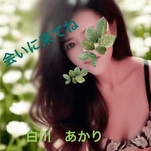 白川瑛梨の写メ日記｜プレジデントハウス 吉原大衆店ソープ