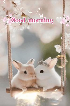 白川瑛梨の写メ日記｜プレジデントハウス 吉原大衆店ソープ