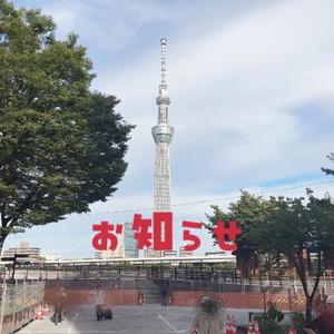 成瀬まこの写メ日記｜プレジデントハウス 吉原大衆店ソープ