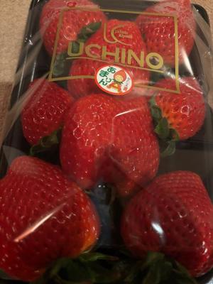 成瀬まこの写メ日記｜プレジデントハウス 吉原大衆店ソープ