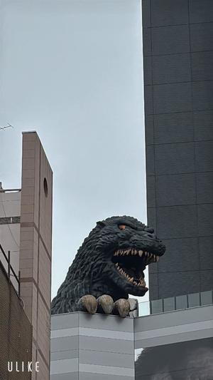 天海佑梨の写メ日記｜プレジデントハウス 吉原大衆店ソープ