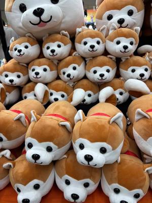 天海佑梨の写メ日記|プレジデントハウス 吉原大衆店ソープ