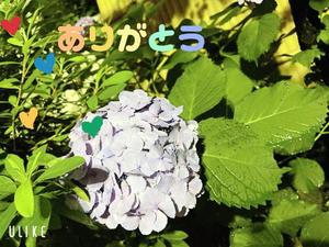 湧井ゆかりの写メ日記｜プレジデントハウス 吉原大衆店ソープ