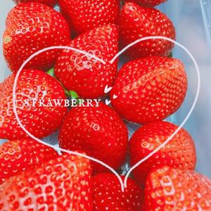 湧井ゆかりの写メ日記｜プレジデントハウス 吉原大衆店ソープ