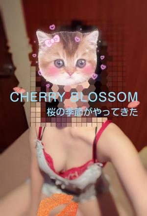 湧井ゆかりの写メ日記｜プレジデントハウス 吉原大衆店ソープ