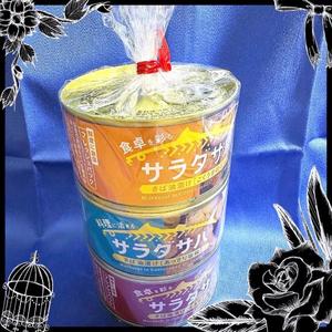 水川星名の写メ日記｜プレジデントハウス 吉原大衆店ソープ