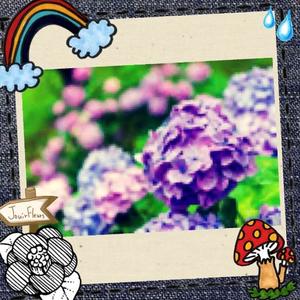 水川星名の写メ日記｜プレジデントハウス 吉原大衆店ソープ