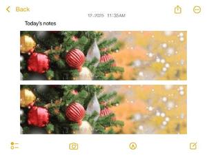 篠原詩織の写メ日記｜プレジデントハウス 吉原大衆店ソープ