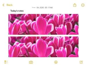 篠原詩織の写メ日記｜プレジデントハウス 吉原大衆店ソープ