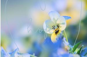 篠原詩織の写メ日記｜プレジデントハウス 吉原大衆店ソープ