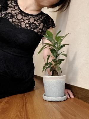新名美緒の写メ日記｜プレジデントハウス 吉原大衆店ソープ