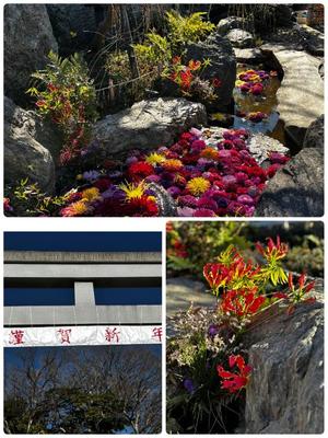 新名美緒の写メ日記｜プレジデントハウス 吉原大衆店ソープ