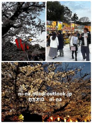 新名美緒の写メ日記｜プレジデントハウス 吉原大衆店ソープ