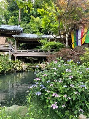 浜崎夏櫻の写メ日記｜プレジデントハウス 吉原大衆店ソープ