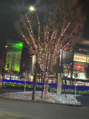 柊 月帆の写メ日記｜プレジデントハウス 吉原大衆店ソープ