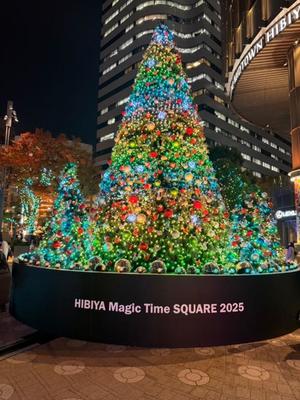 一条美和の写メ日記｜プレジデントハウス 吉原大衆店ソープ