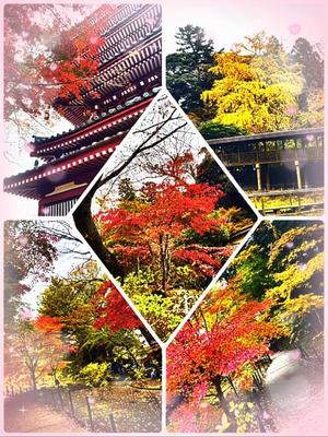 高坂志乃の写メ日記｜プレジデントハウス 吉原大衆店ソープ