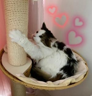 桐谷かなの写メ日記｜プレジデントハウス 吉原大衆店ソープ