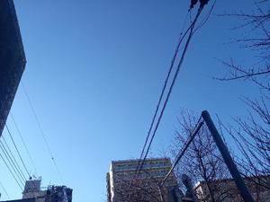 吉原未知留の写メ日記｜プレジデントハウス 吉原大衆店ソープ