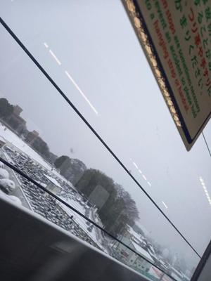 吉原未知留の写メ日記｜プレジデントハウス 吉原大衆店ソープ