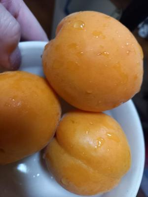 吉原未知留の写メ日記｜プレジデントハウス 吉原大衆店ソープ
