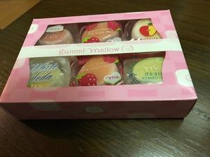 琴音みやびの写メ日記｜プレジデントハウス 吉原大衆店ソープ