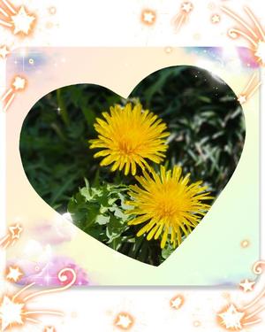 水瀬あいなの写メ日記｜プレジデントハウス 吉原大衆店ソープ